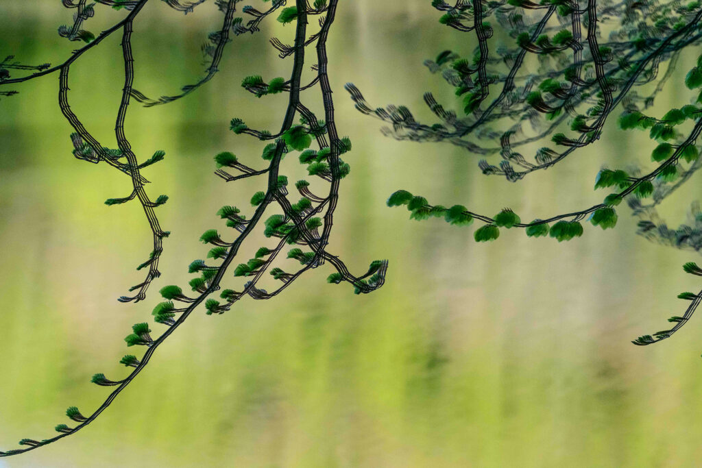 Per què saber molt no és suficient