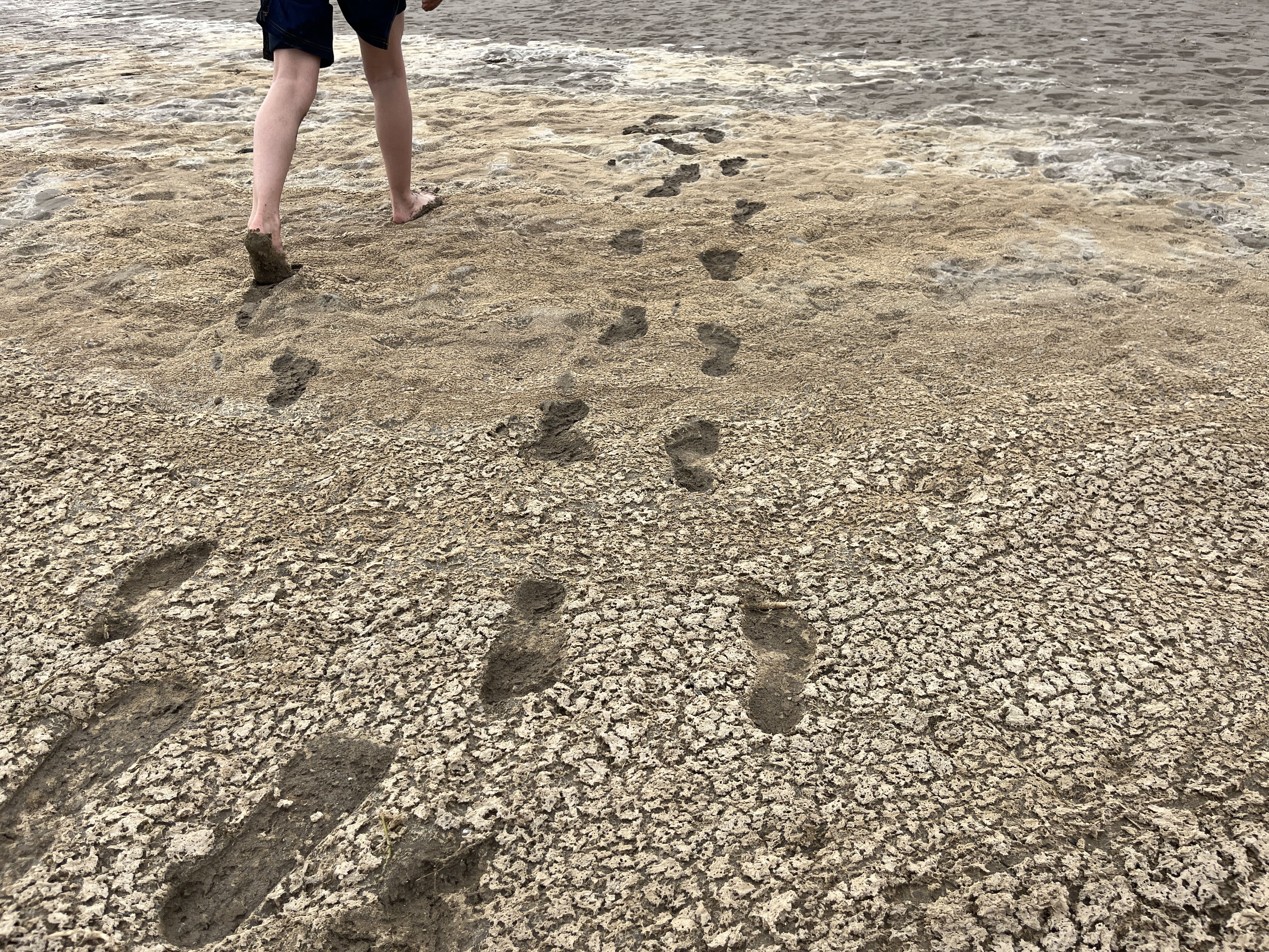 Curs 24-25: Aprendre dels errors i millorar els encerts