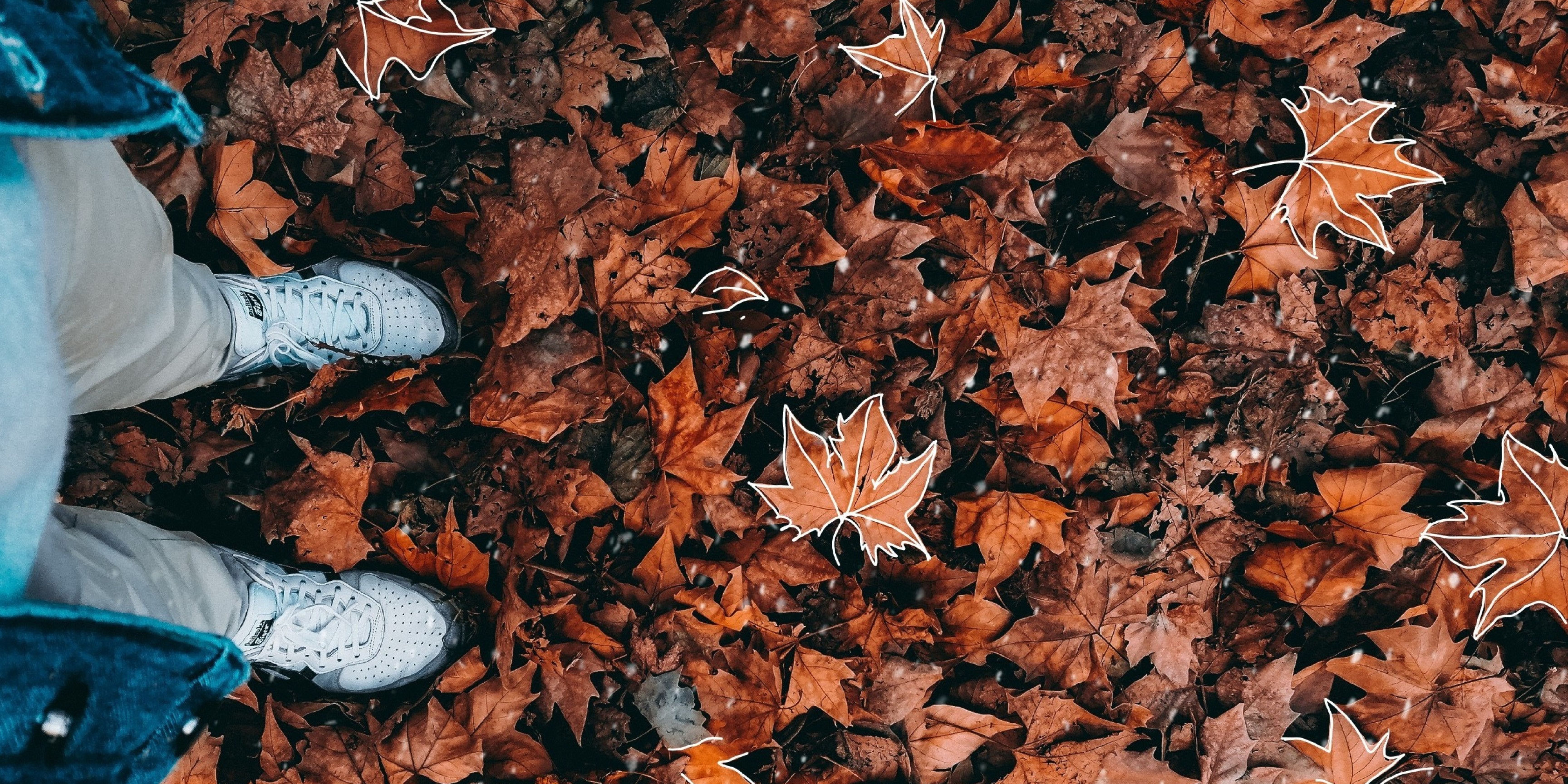 Escola de Tardor 2023