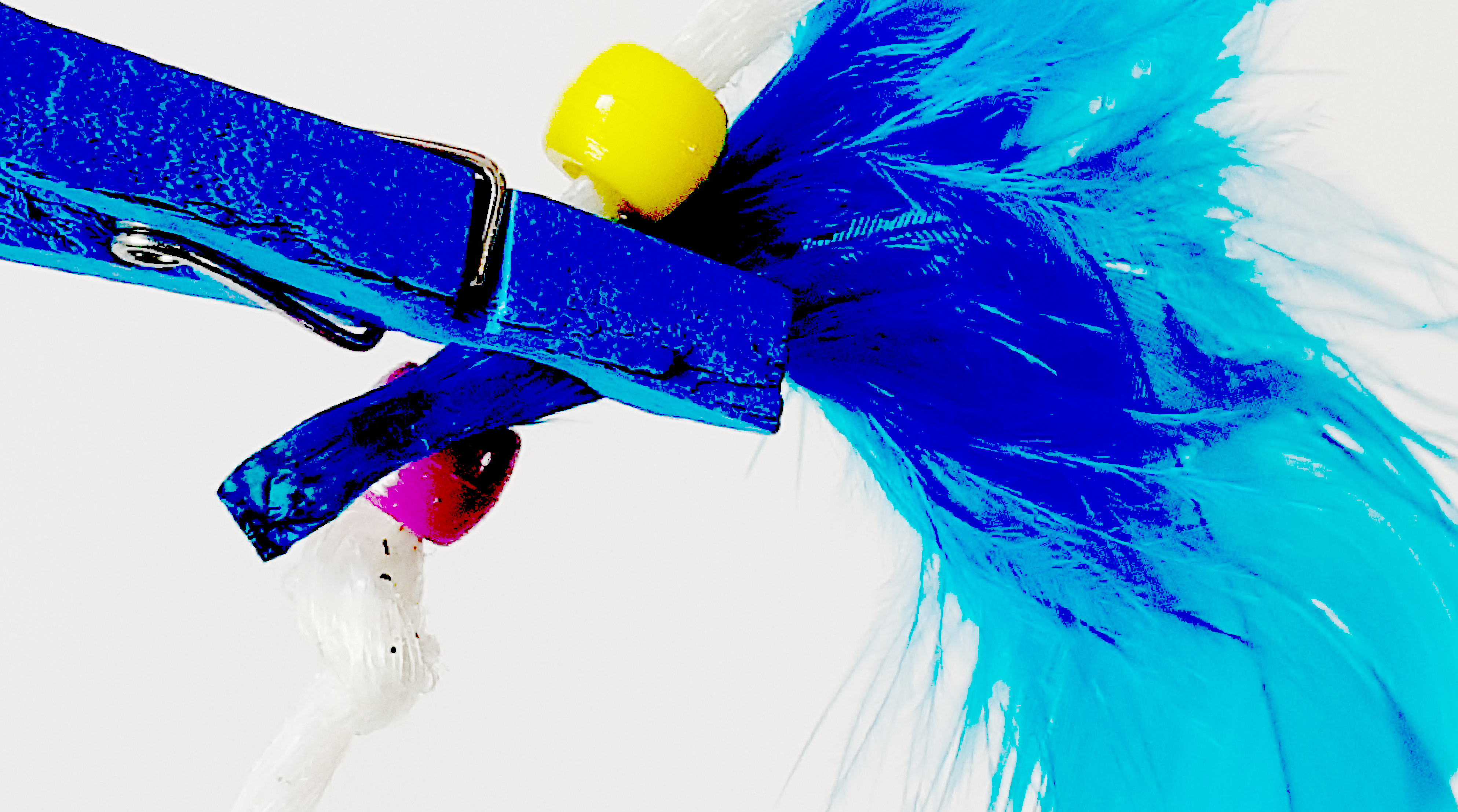 Jornada El Fil de la Vida (26 de novembre)