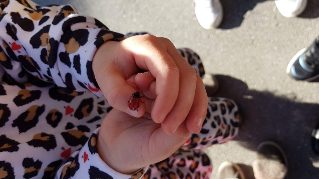 Una jornada intensa i intensiva