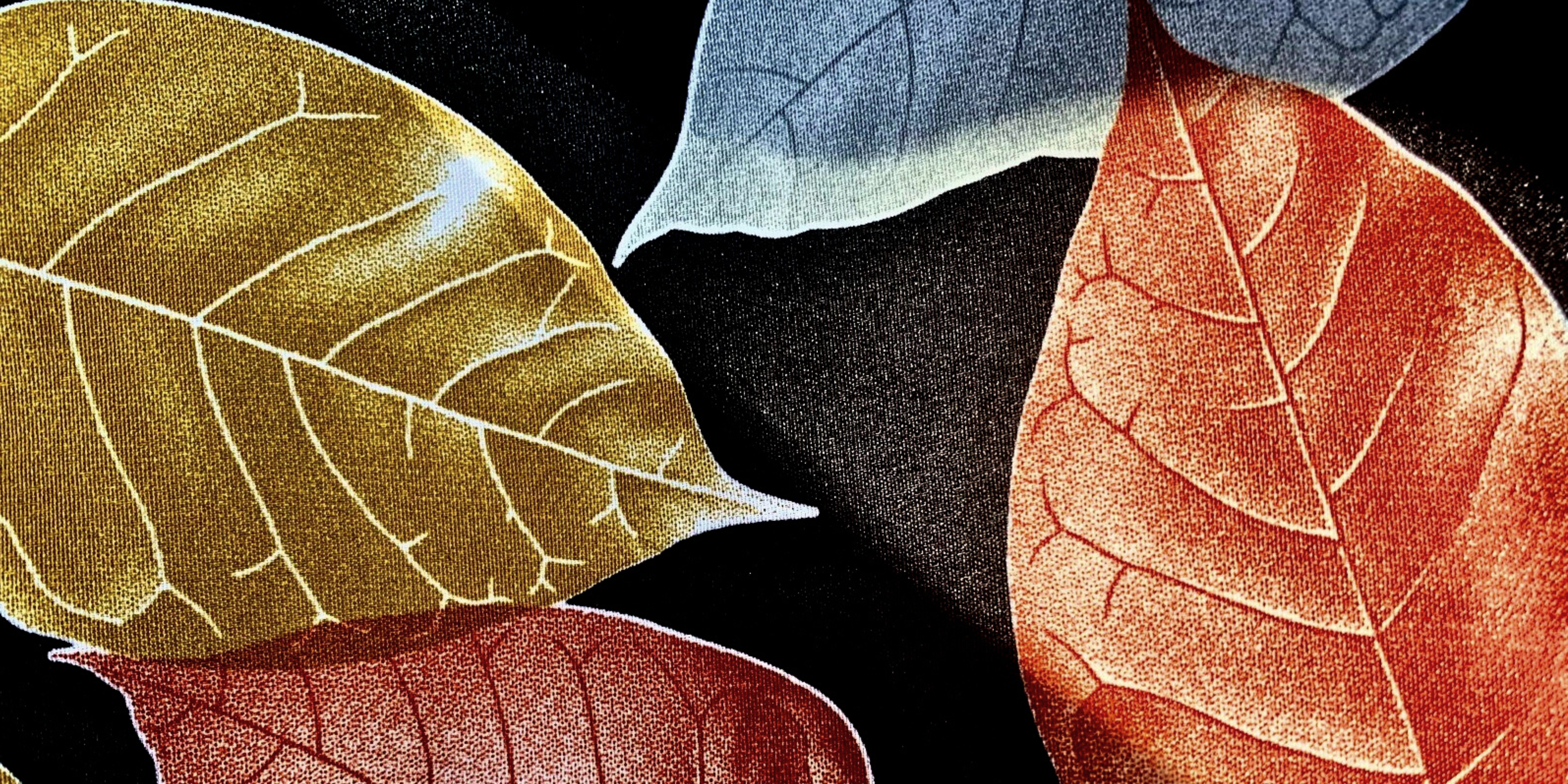 Escola de Tardor 2022