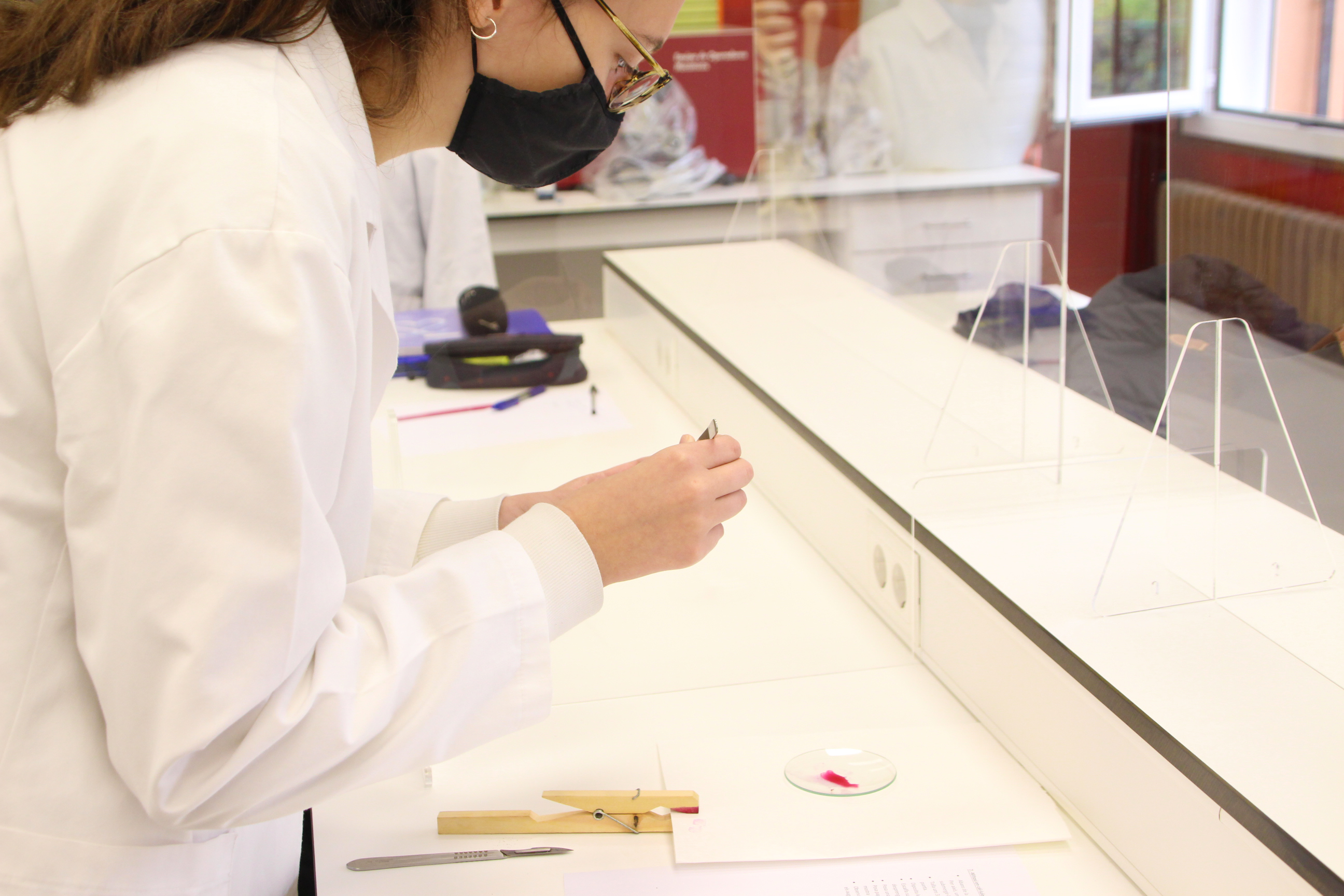 Les STEAM amb una mirada de 360º