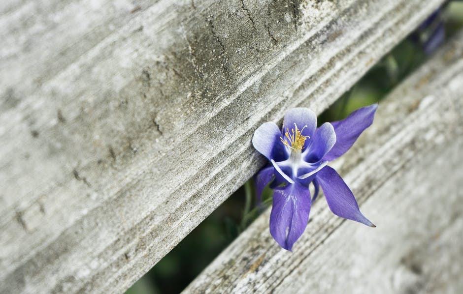 25-N: Contra la violència masclista, apoderament feminista 