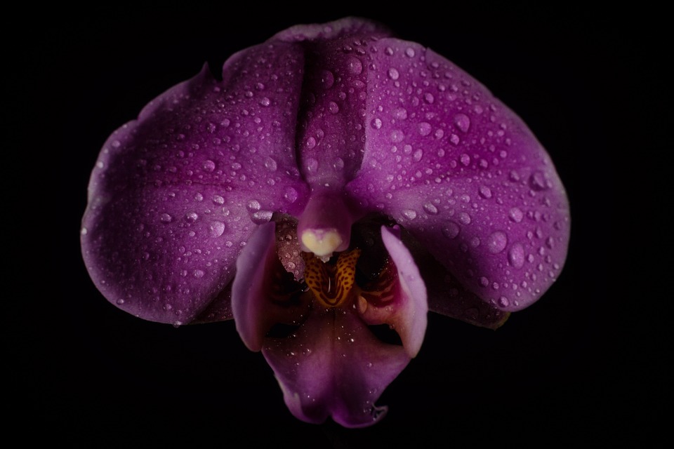 #56EE VÍDEO PRESENTACIÓ: 'Pràctiques i reflexions d’educació feminista'