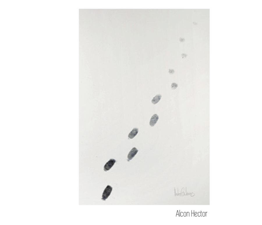 Parlar de mort i vida a l'aula