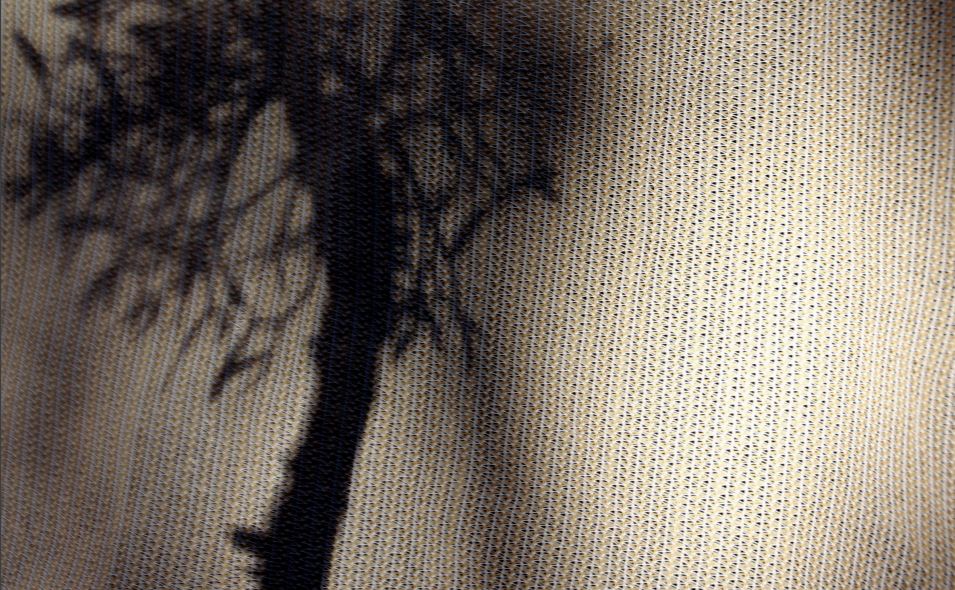 Monogràfic. La mort, l'últim tabú de l'ensenyament.