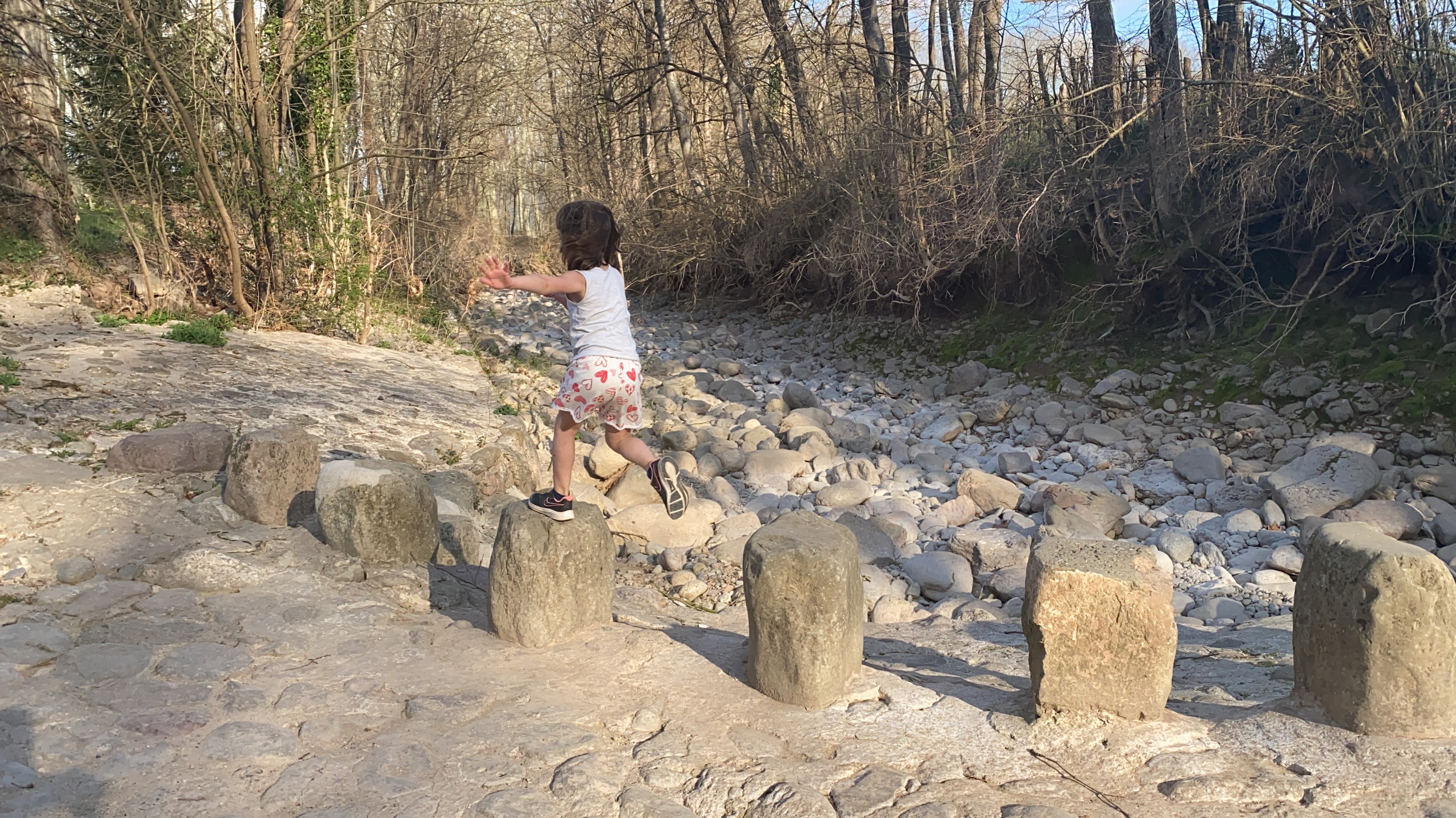 20 de març de 2020: des del confinament