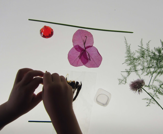 Pensar i actuar per una educació en clau feminista