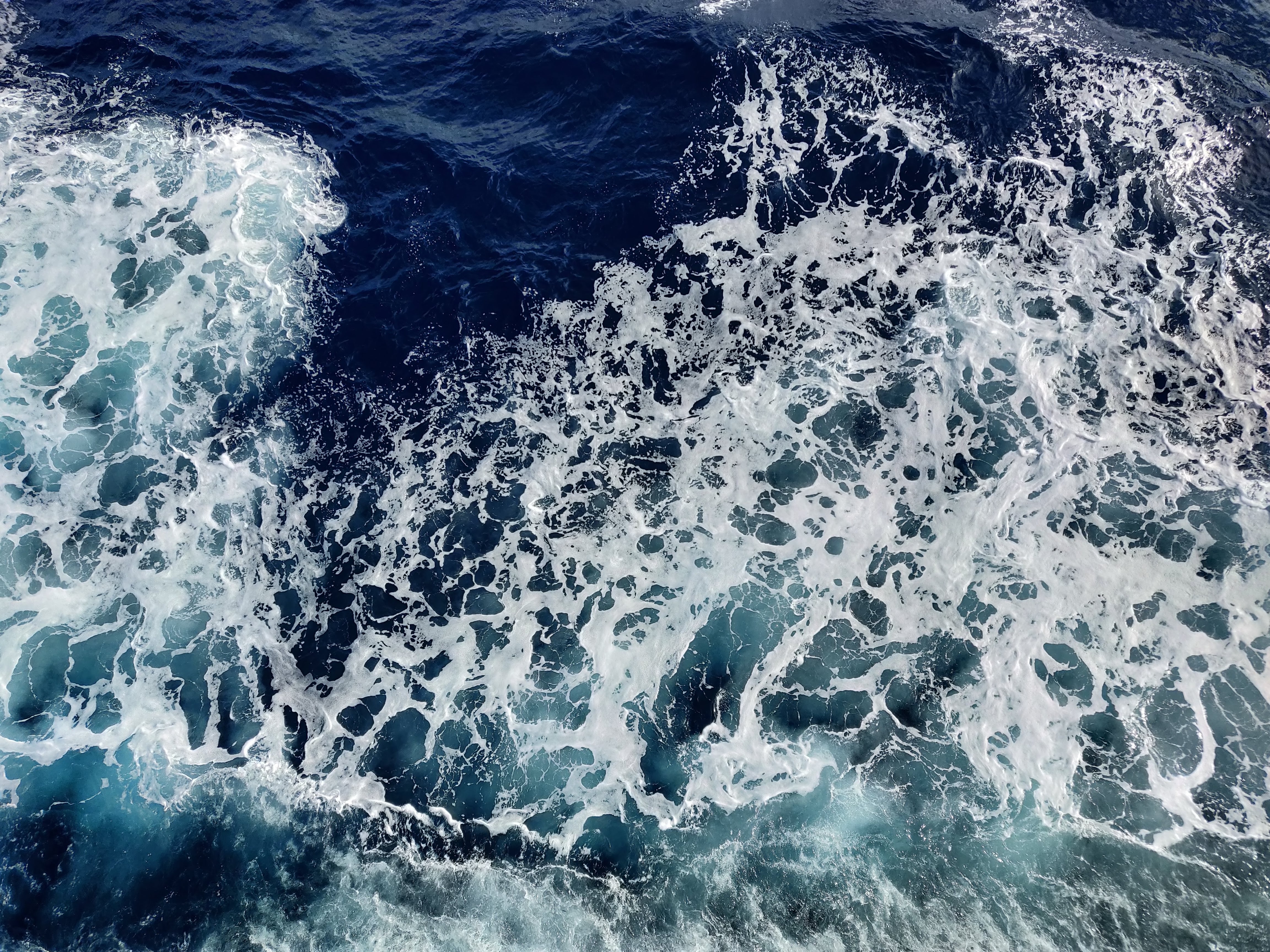 Deixeu-los que s'ofeguin