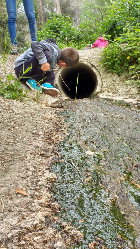 Les criatures durant el temps de vacances escolars