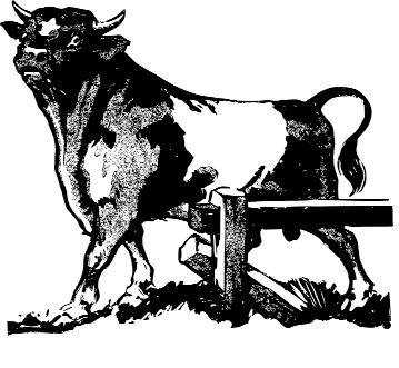 El conte. El pet del bou-que-tenia- un-encàrrec-per-a-la-lluna