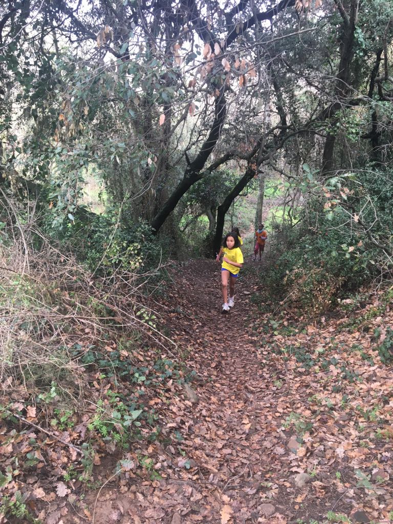 Canovelles i l’esport escolar