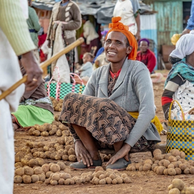 Exposicions del projecte “MIRADES PER ENTENDRE EL MÓN” a disposició de les escoles i entitats que les sol·licitin