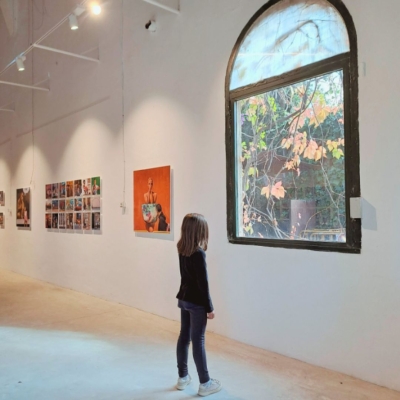 L'àlbum il·lustrat com a experiència viva: una mirada des de l'art i l'educació 