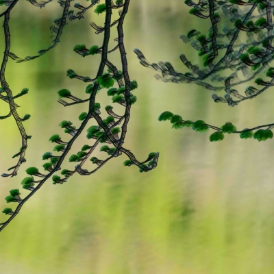 Per què saber molt no és suficient