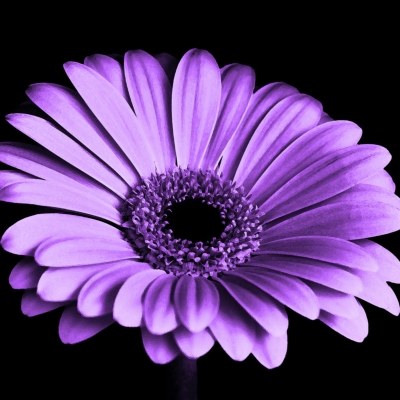 8M: Hem de transformar-nos per a transformar