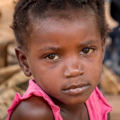 Descobreix l'exposició 