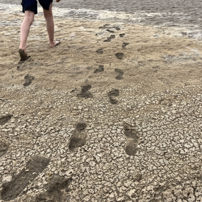 Curs 24-25: Aprendre dels errors i millorar els encerts