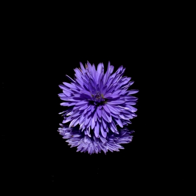 Educar per erradicar les violències masclistes encara continua sent una tasca urgent