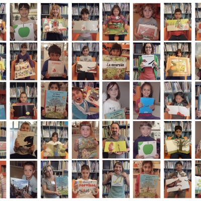 Falses creences sobre els llibres sense mots