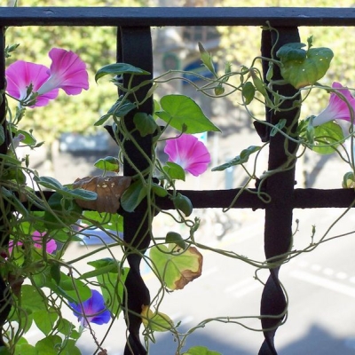 GT Educació Feminista: La violència masclista és sistèmica i estructural