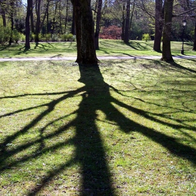 REPENSEM-NOS el futur de l’Associació de Mestres Rosa Sensat