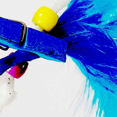 Jornada El Fil de la Vida (26 de novembre)