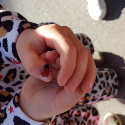 Una jornada intensa i intensiva