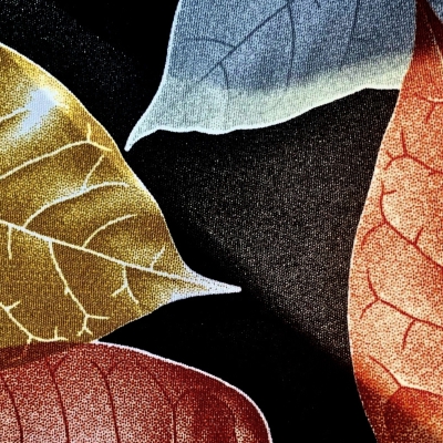 Escola de Tardor 2022