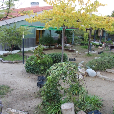 Els espais exteriors i les relacions a l'escola