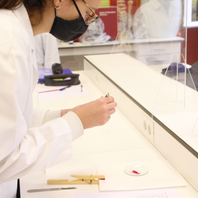 Les STEAM amb una mirada de 360º