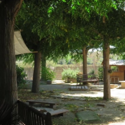 Xarxes, vincles: qui fa què en la transformació dels patis?