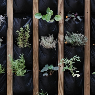 L’escola verda, una resposta a la crisi climàtica