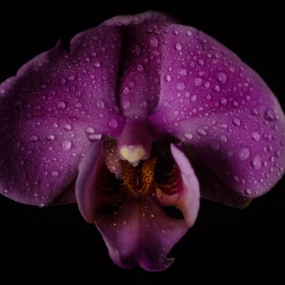 #56EE VÍDEO PRESENTACIÓ: 'Pràctiques i reflexions d’educació feminista'