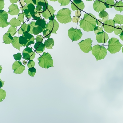 Equip formatiu - Ecosistemes d’aprenentatge radicalment transformadors