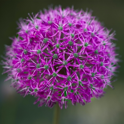 8 de març en educació des de la mirada feminista