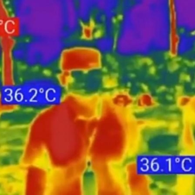 Imatges en confinament: set idees clau segons Íngrid Guardiola