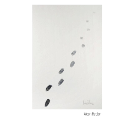 Parlar de mort i vida a l'aula