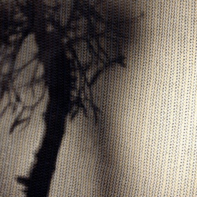 Monogràfic. La mort, l'últim tabú de l'ensenyament.