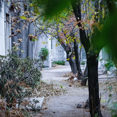 La nostra societat i la percepció de la mort