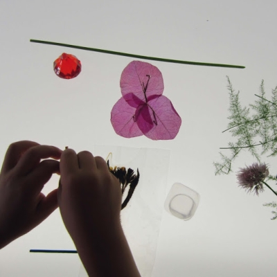 Pensar i actuar per una educació en clau feminista