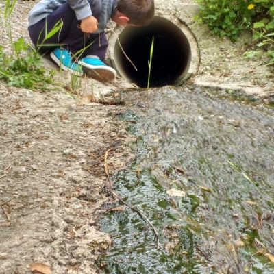 Les criatures durant el temps de vacances escolars